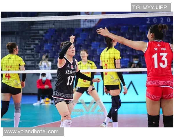 上海排球队的节奏得失分析与未来发展展望