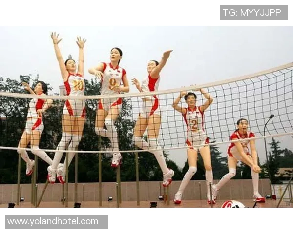 广州排球队的奋斗与荣耀：一段排球精神的真实纪实之旅