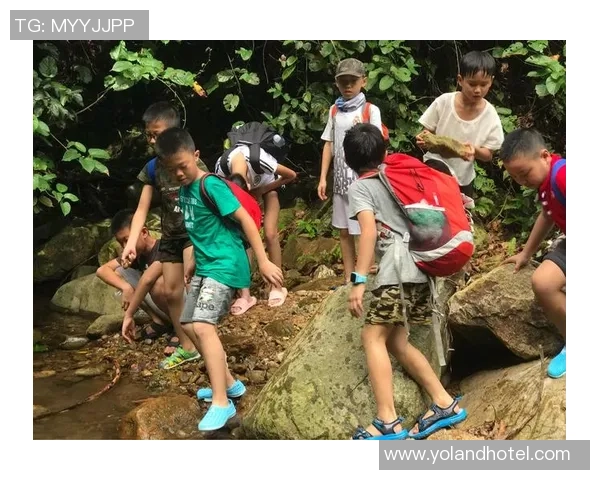 深度对话：探索杨磊在和平精英中的成长与人生哲学