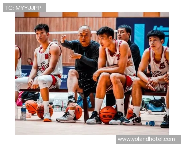 篮球实力大揭秘权威发布最新状态排行榜引发热议